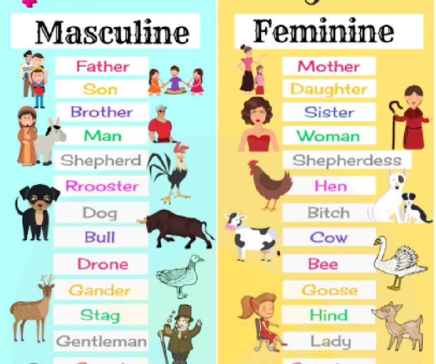 Danh từ trong ngữ pháp tiếng Anh